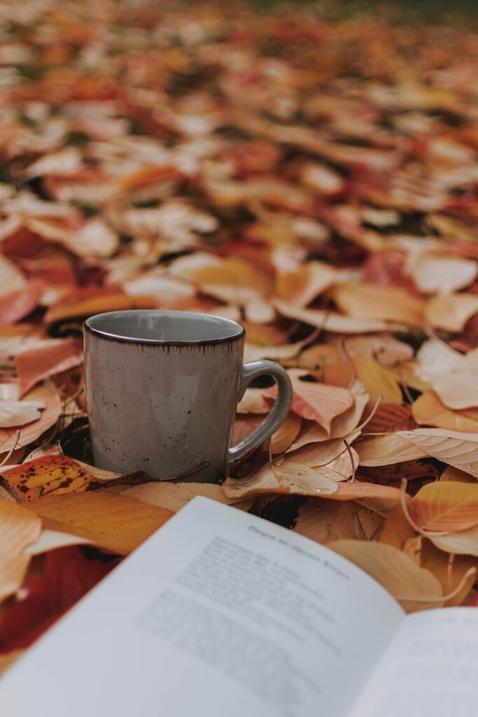 fall, coffee cup, leaves-4589722.jpg